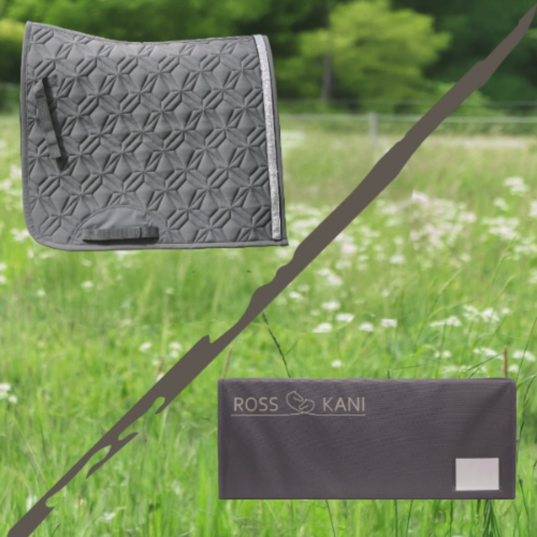 ROSS KANI graue Dressur-Schabracke mit passender Aufbewahrungsbox – stilvolle Reitutensilien im Set