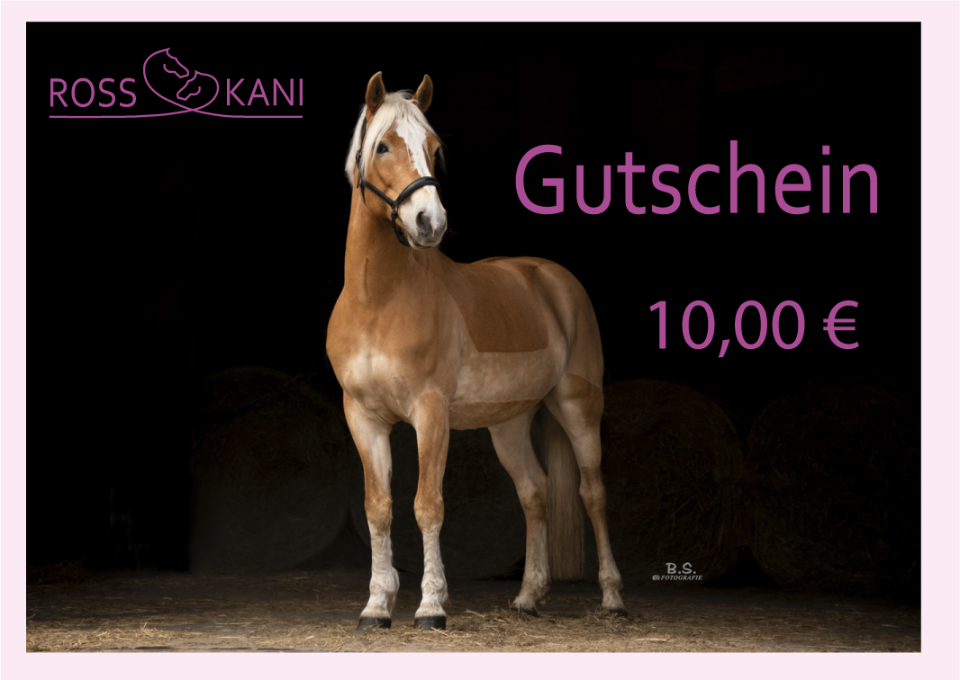 ROSS KANI Pferdebild auf Gutschein 10,00 €