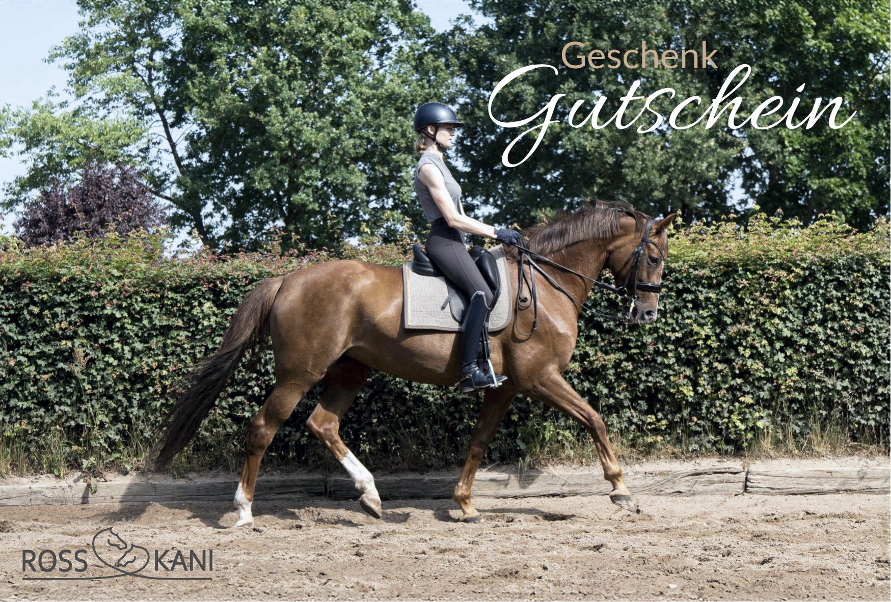 Auf dem Geschenkgutschein von ROSS KANI ist das Beige Cover für die Dressur auf dem Pferd mit Reiterin abgebildet - auch im Training eine n ansprechenden Auftritt.