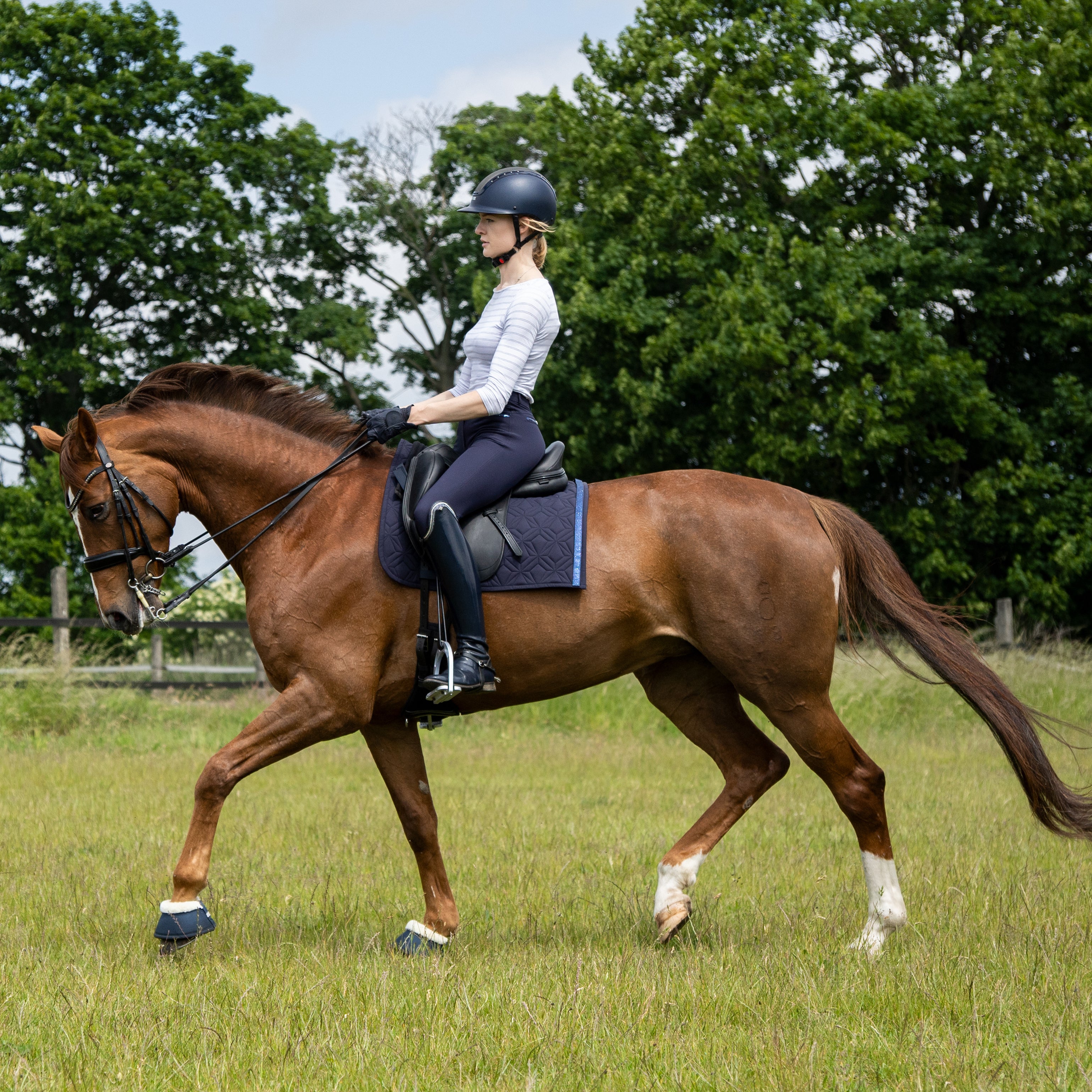 Blaue Dressur-Schabracke von ROSS KANI in Aktion – Reiterin auf dem Pferd reitet über eine Wiese.