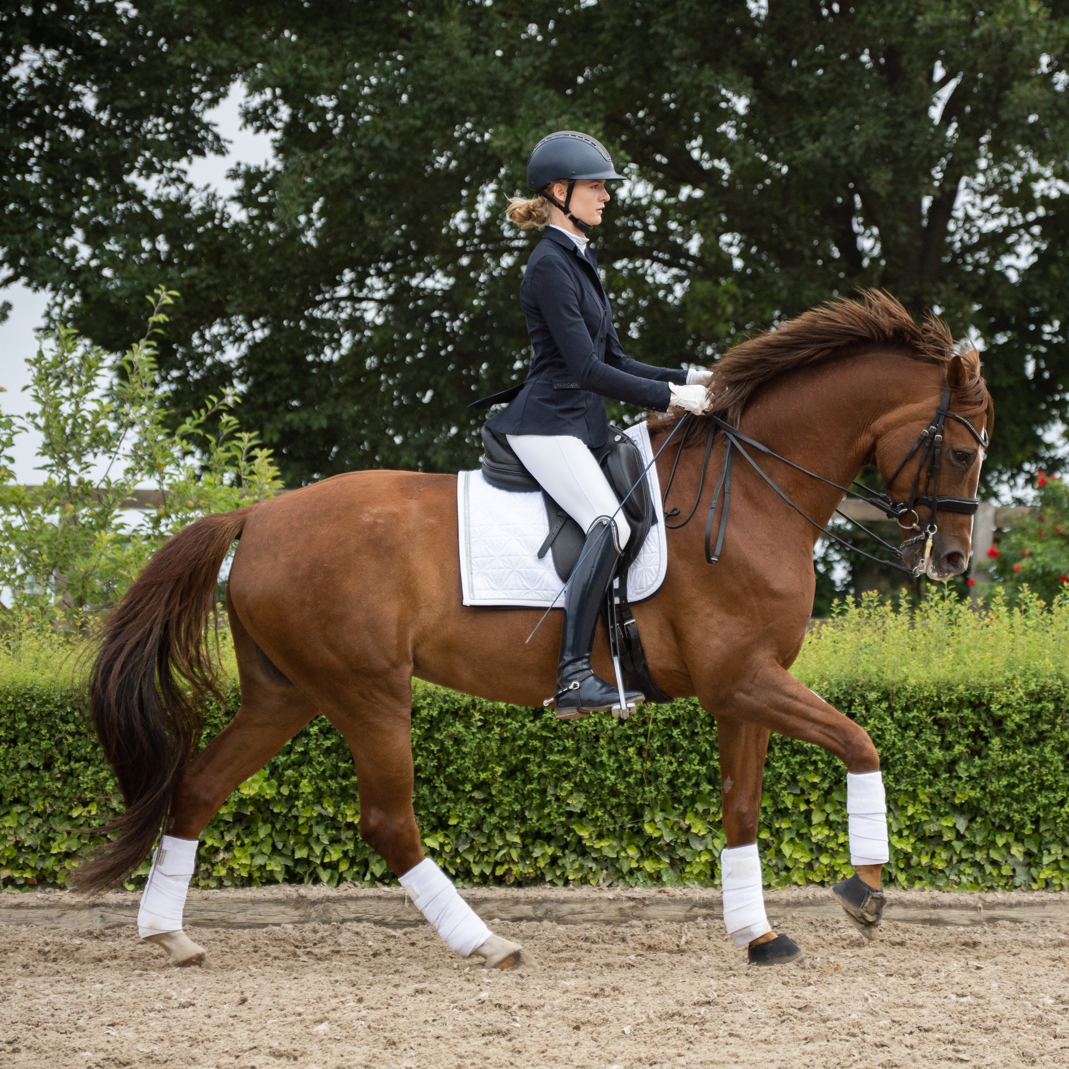 Weißes Dressur-Schabrackencover von ROSS KANI auf dem Pferdrücken – Reiterin auf dem Pferd im Galopp. Im Hintergrund sieht man Hecke und Bäume.