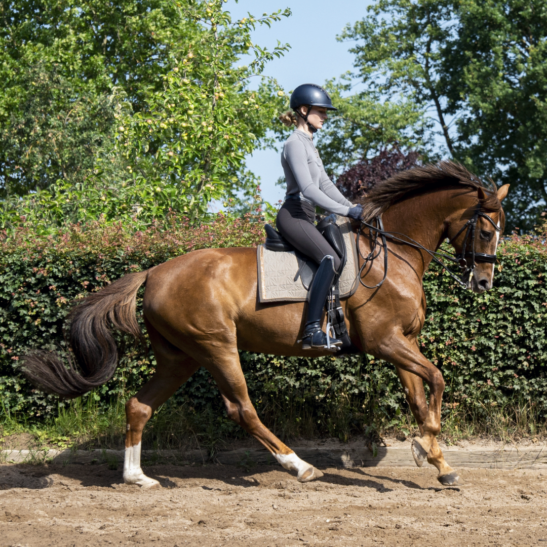 Beiges Dressur Schabracken-Cover von ROSS KANI auf dem Pferderücken – Reiterin auf dem Pferd im Galopp. Hecke und Bäume im Hintergrund.
