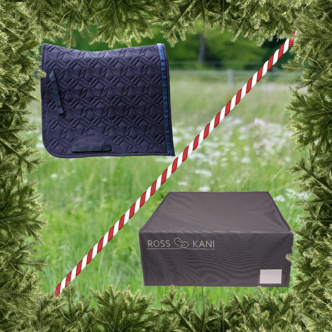 ROSS KANI blaue Dressur-Schabracke mit passender Aufbewahrungsbox – stilvolle Reitutensilien im Set