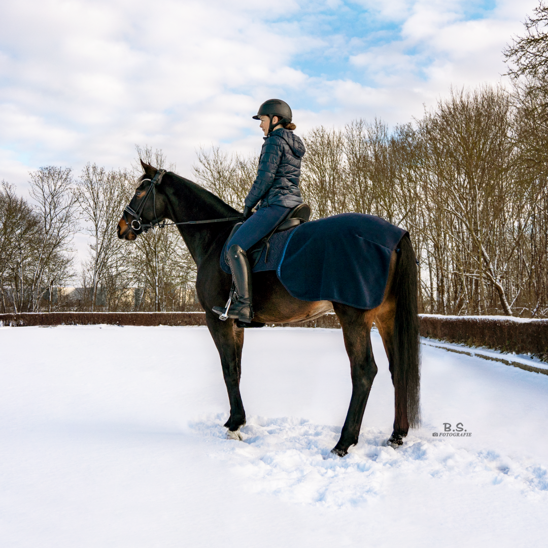 Dunkelbraunes Pferd auf einem schneebedeckten Reitplatz mit Reiterin in blauer Kleidung; unter dem Sattel liegt die dunkelblaue Hauptschabracke von ROSS KANI, daran per Klett befestigt die Wollwalk-Ausreitdecke; im Hintergrund Büsche und Bäume.