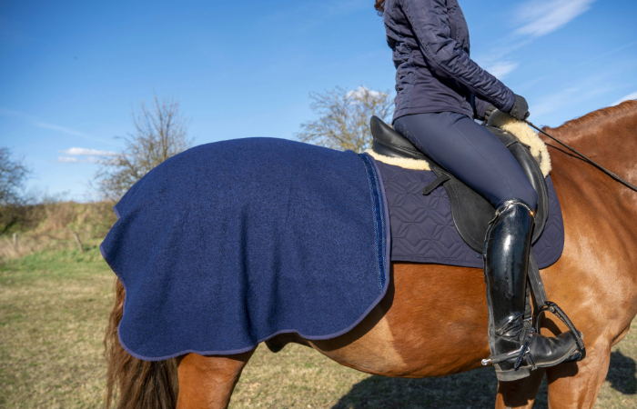Blaue Ausreitdecke von ROSS KANI auf dem Pferd, kombiniert mit passender Dressurschabracke; Reiterin sitzt im Sattel auf einer Wiese mit wenig Bewuchs, Büsche im Hintergrund. Man sieht eine blaue Reithose und einen schwarzen Stiefel in Seitenansicht.