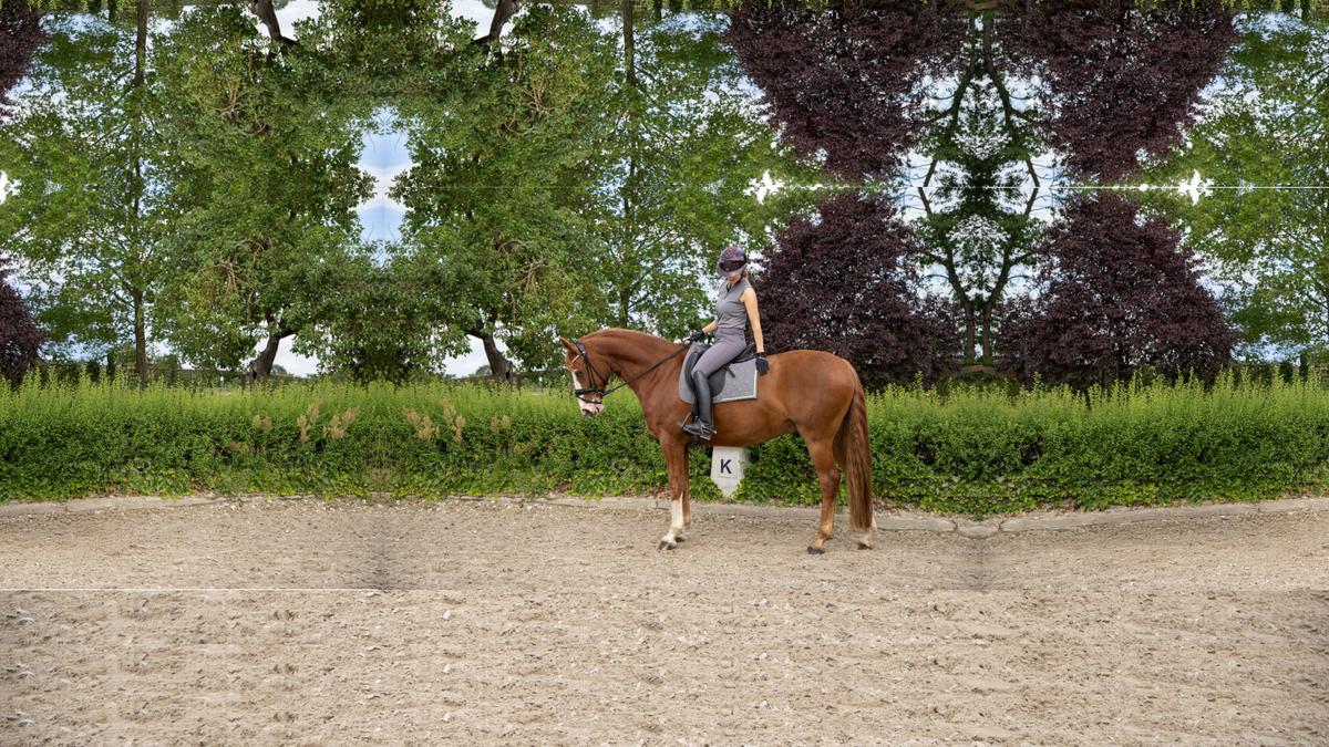 Reiterin auf fuchsfarbenem Pferd mit grauer ROSS KANI Classic Summer Schabracke auf Reitplatz