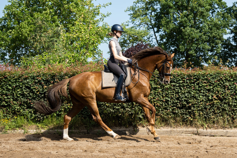 Beiges Dressur Schabracken-Cover von ROSS KANI in Aktion – Reiterin auf dem Pferd während des Dressur Trainings im Galopp.