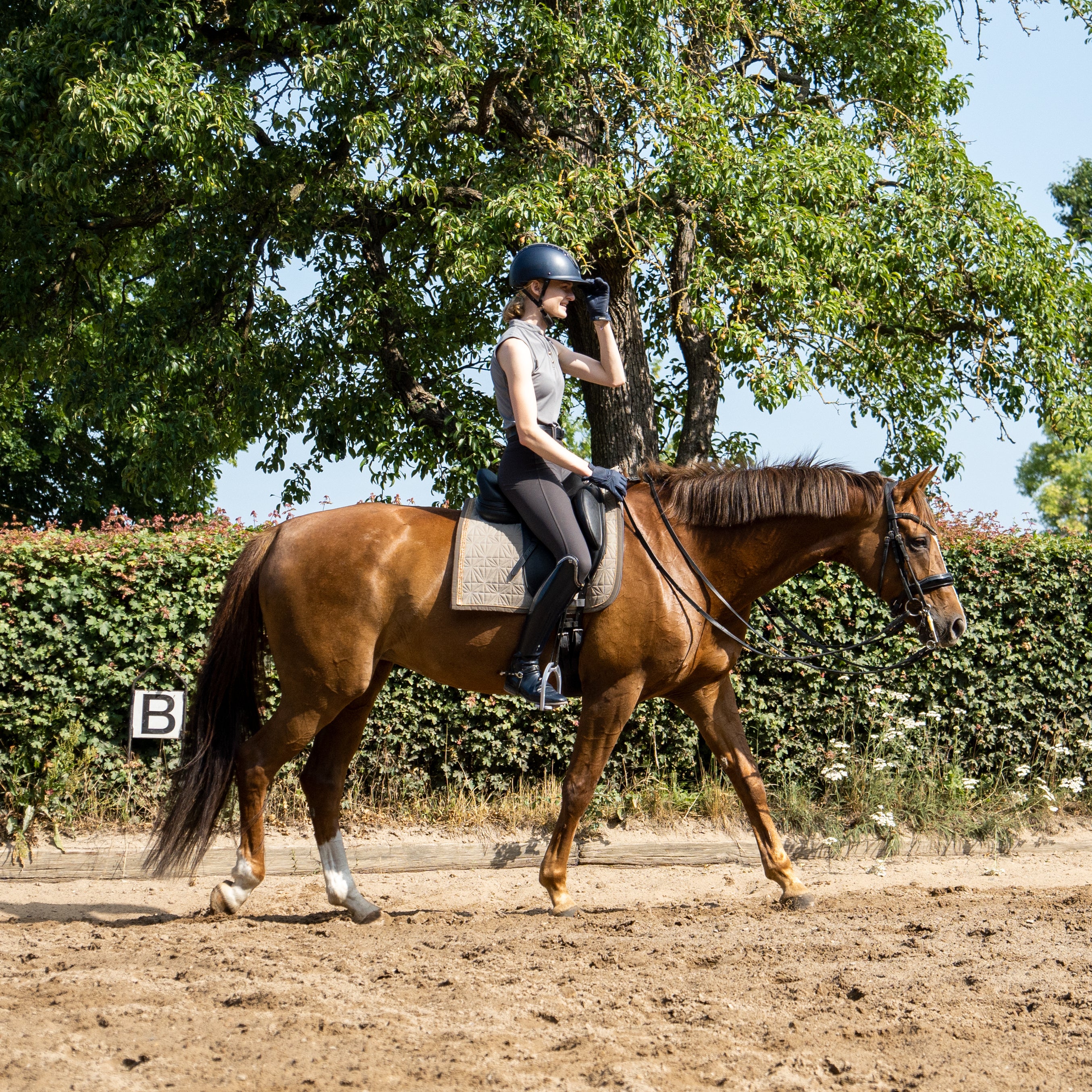 Beiges Schabracken-Cover von ROSS KANI unter dem Sattel aufgeklettet in Aktion beim Schritt reiten – schöner Anblick beim Reiten.