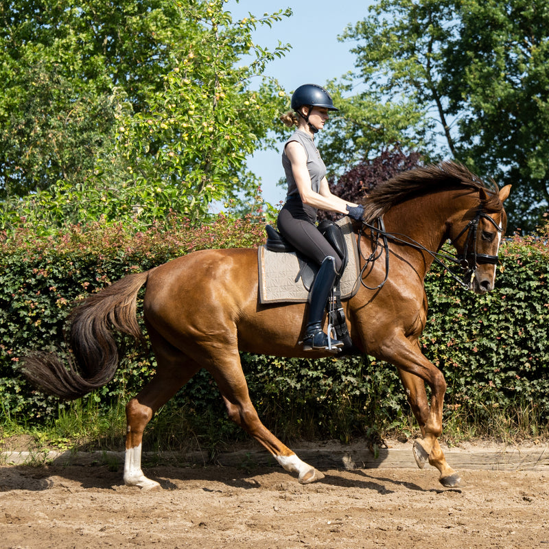 Beiges Dressur Schabracken-Cover von ROSS KANI in Aktion – Reiterin auf dem Pferd während des Dressur Trainings im Galopp.