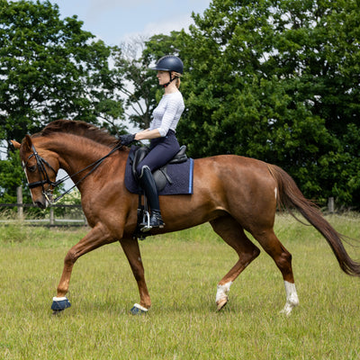 Blaue Dressur-Schabracke von ROSS KANI in Aktion – Reiterin auf dem Pferd während der Dressur.