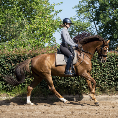 Beiges Dressur Schabracken-Cover von ROSS KANI auf dem Pferderücken – Reiterin auf dem Pferd im Galopp. Hecke und Bäume im Hintergrund.