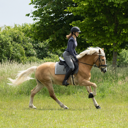 Graue ROSS KANI Spring-Schabracke in Aktion – Reiterin auf dem Pferd während eines Ausritts.