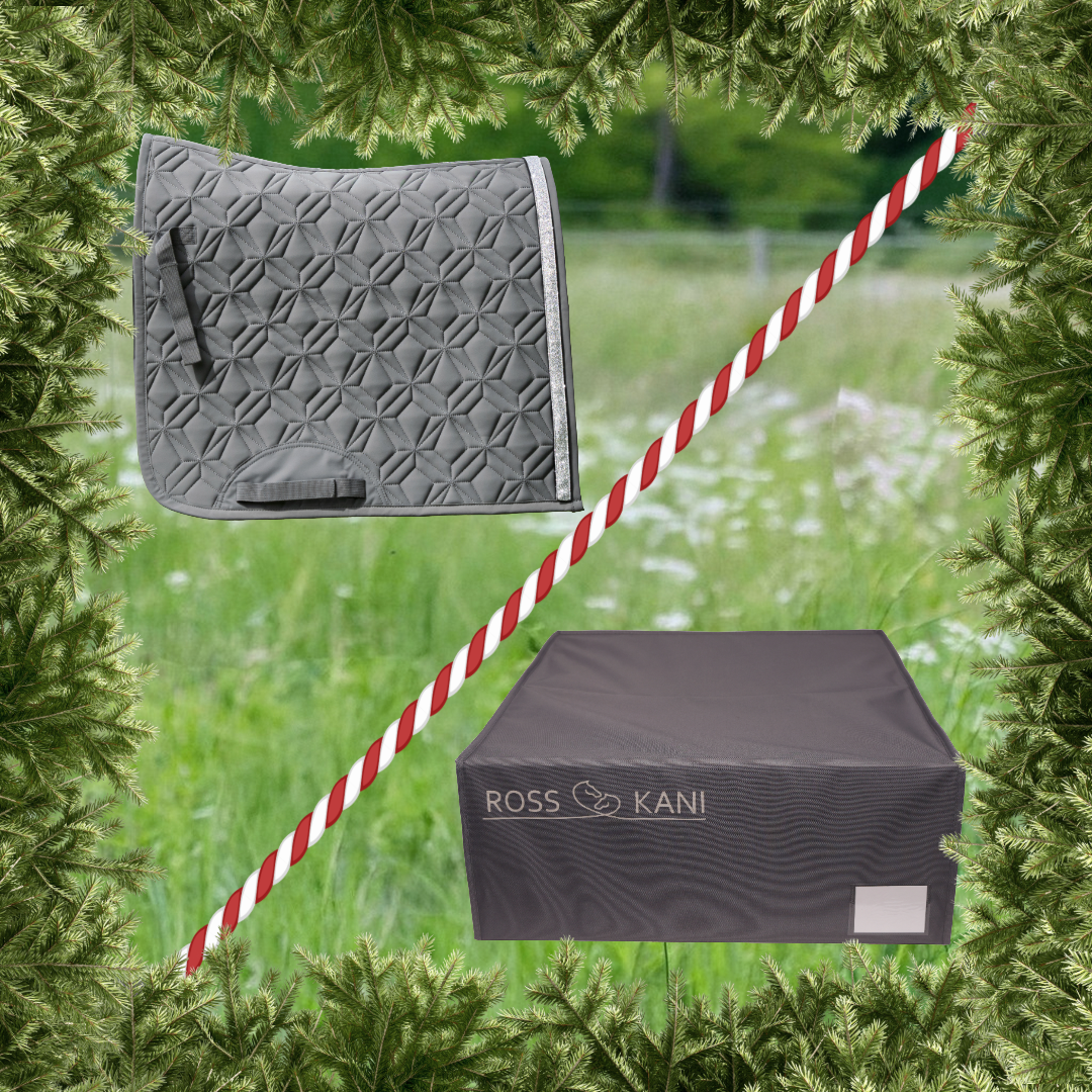 ROSS KANI graue Dressur-Schabracke mit passender Aufbewahrungsbox – stilvolle Reitutensilien im Set