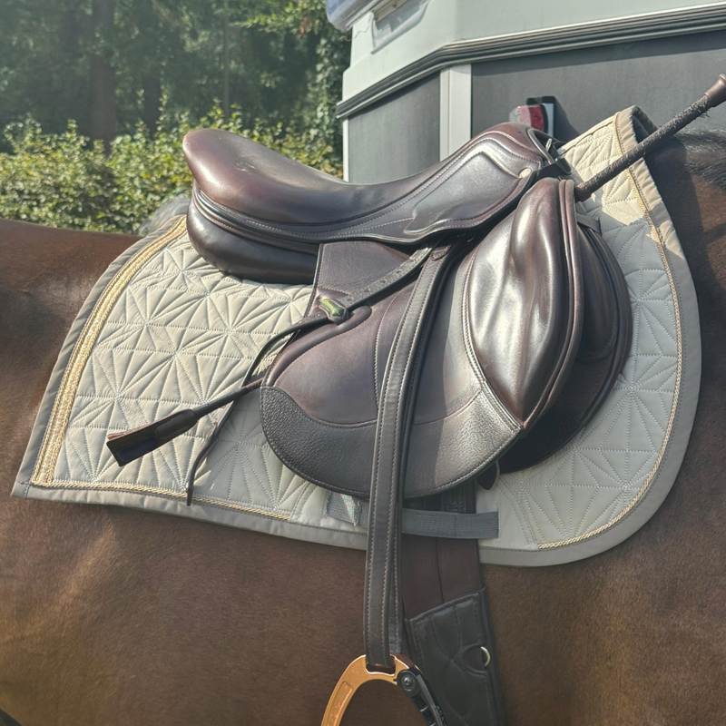 Beiges Spring-Cover von ROSS KANI unter dem Sattel auf dem Pferd – wandelbarer Look beim Reiten. Man sieht einen im Hintergrund einen Hänger und Büsche.