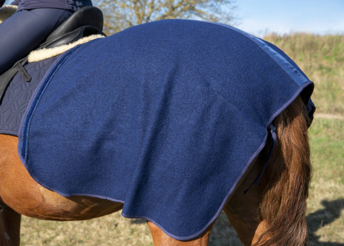 Blaue Ausreitdecke von ROSS KANI auf dem Pferd, kombiniert mit passender Dressurschabracke; Reiterin sitzt im Sattel auf einer Wiese mit wenig Bewuchs, Büsche im Hintergrund.
