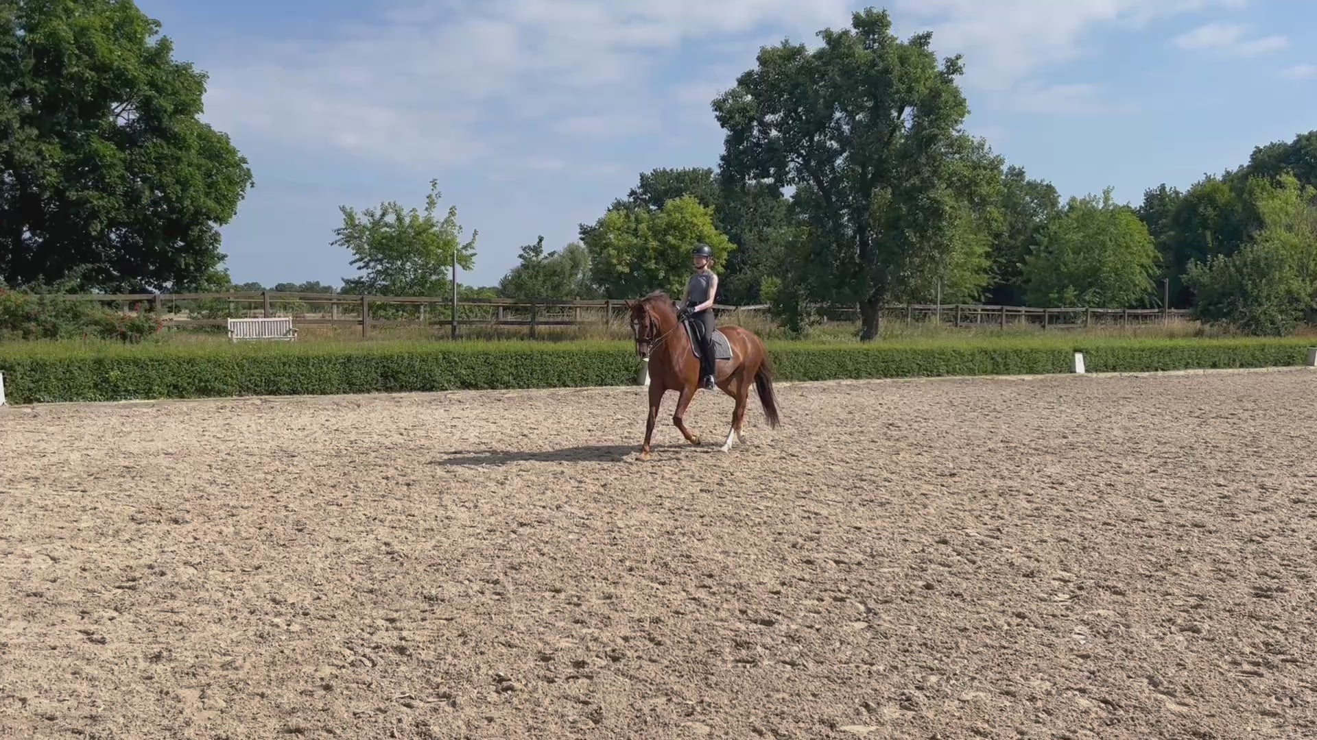 Video laden: Fuchs-Pferd mit Reiterin im Trab auf dem Reitplatz, zeigt graue ROSS KANI Schabracke Dressur – 4-Sekunden-Video für Reitsport &amp; Schabracken-Präsentation