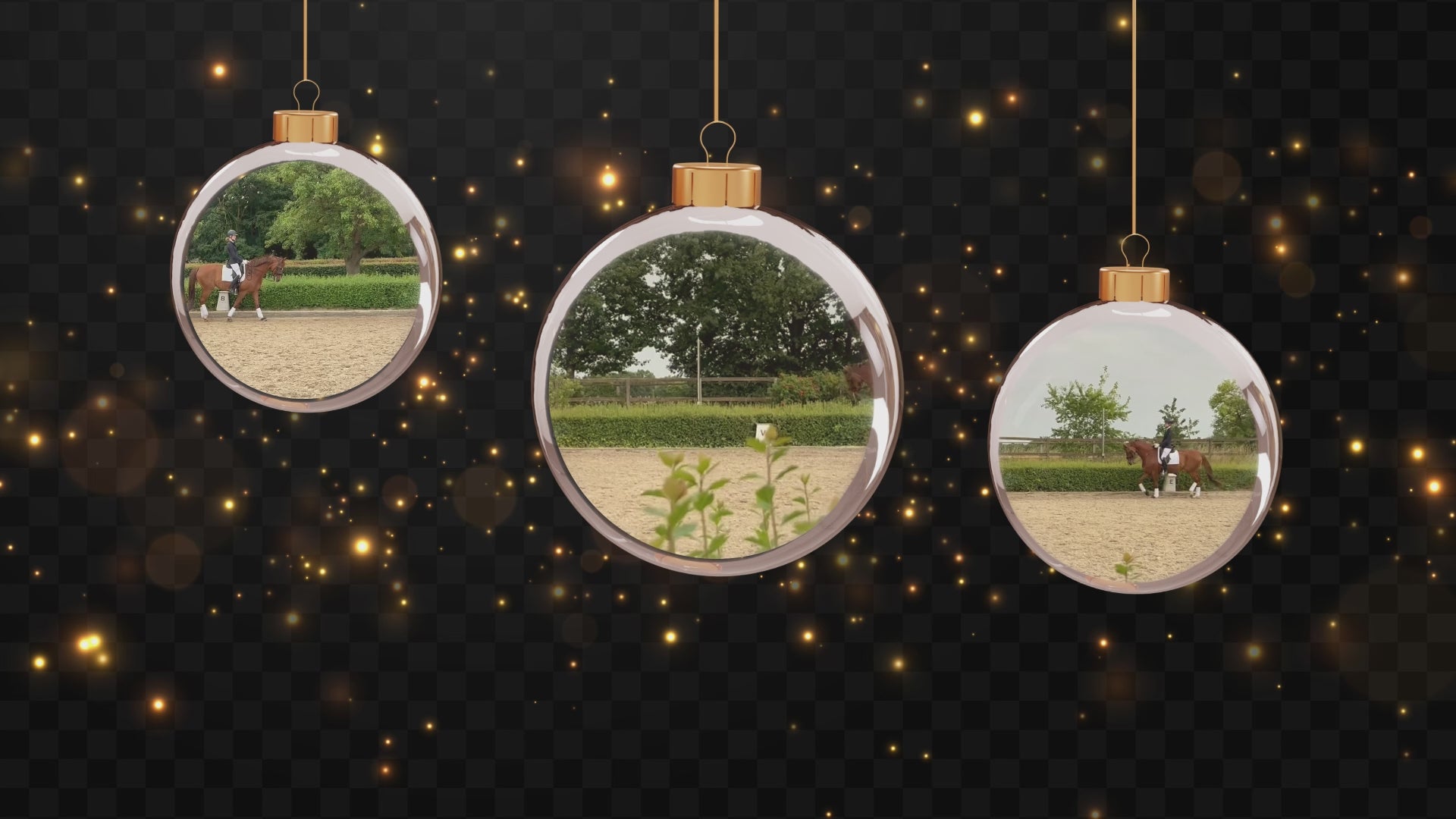 Video laden: Fuchs-Pferd mit Reiterin im Trab auf dem Reitplatz, zeigt graue ROSS KANI Schabracke Dressur – 4-Sekunden-Video für Reitsport &amp; Schabracken-Präsentation