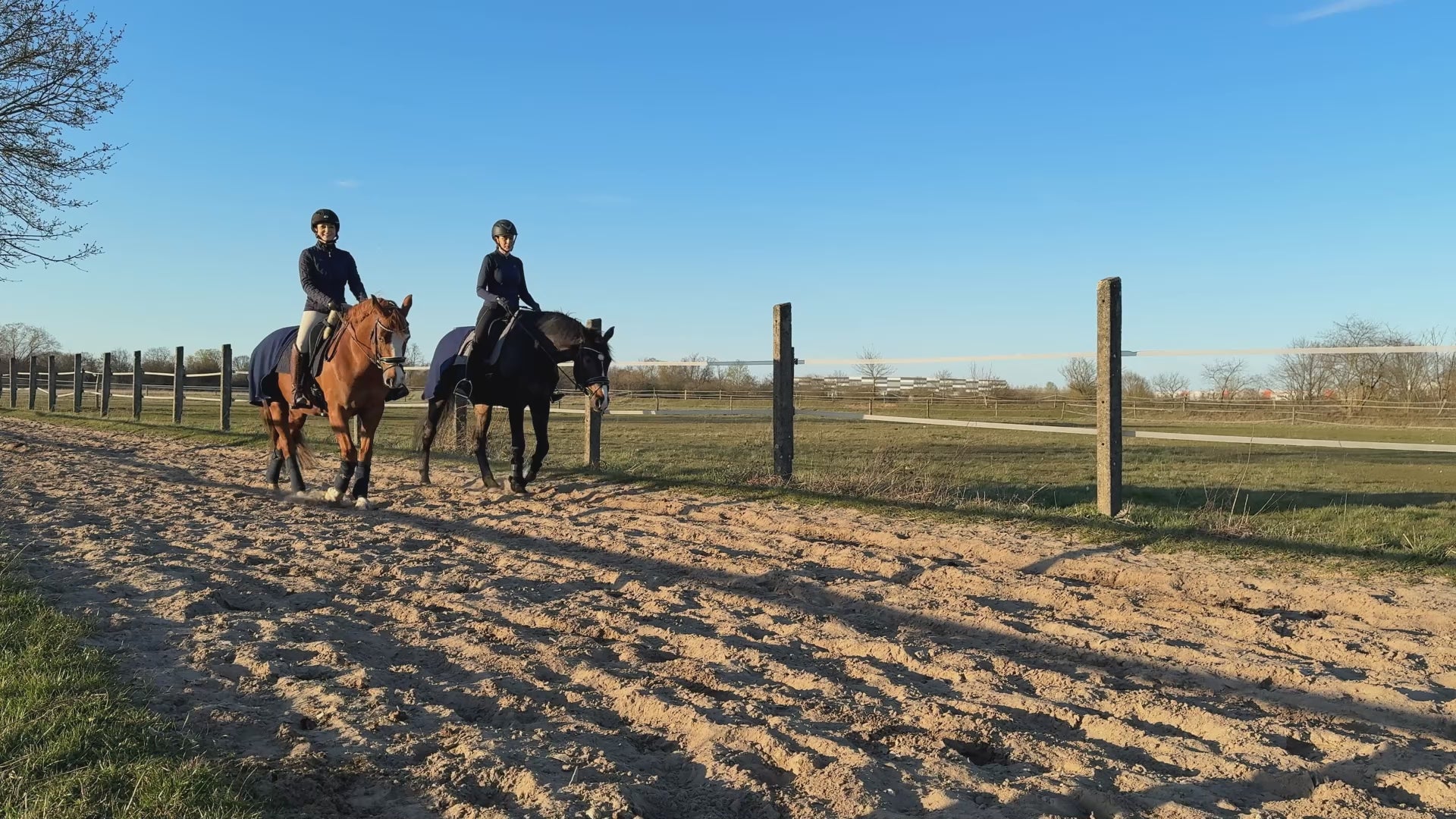 Video laden: Video: Zwei Reiterinnen reiten in der Morgensonne an einer Koppel entlang. Beide haben die blaue Ausreitdecke von ROSS KANI an ihren Schabracken befestigt.  Die eine Reiterin an der blauen Dressurschabracke, die andere an der grauen.