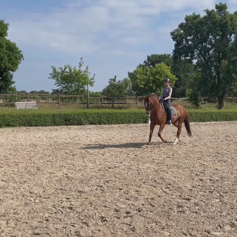Video laden: Video: Pferd trabt mit Reiterin über die Reitbahn, Seitenansicht in Bewegung. Die Reiterin trägt eine schwarze Reithose mit grauem Oberteil und unter dem Sattel liegt die graue Dressur-Hauptschabracke von ROSS KANI.